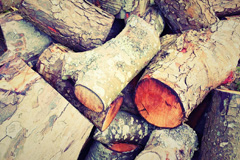 Wellpond Green wood burning boiler costs